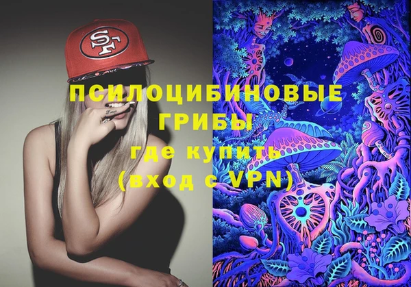 mdma Богородицк