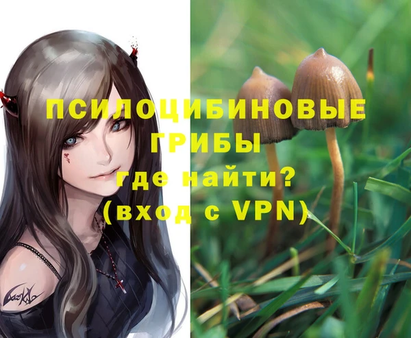 ПСИЛОЦИБИНОВЫЕ ГРИБЫ Балабаново