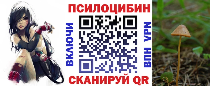 Псилоцибиновые грибы прущие грибы  сколько стоит  Озёрск 